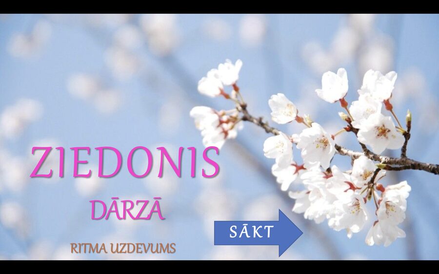 Interaktīva PowerPoint ritmizēšanas spēle "Ziedonis dārzā"